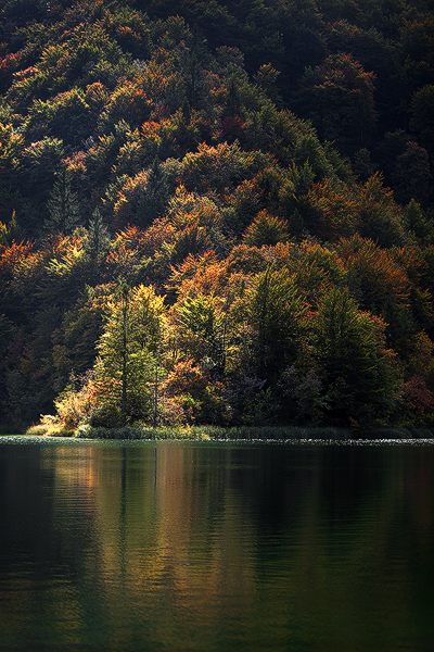Plitvice-Lakes-National-Park-Croatia-#10106735