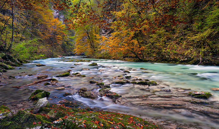 Vintgar-Gorge-Triglav-National-Park-Slovenia-#10109663