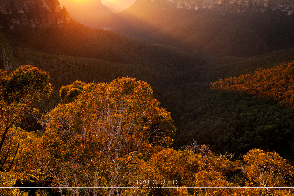 Govetts-Leap-Blue-Mountains-Australia-#05124415